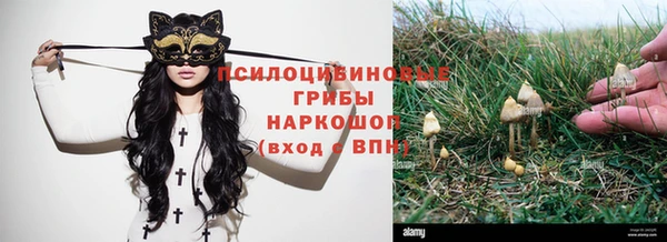 спайс Алексин