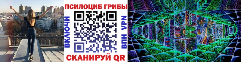 Галлюциногенные грибы Psilocybine cubensis  купить   МЕГА как войти  Белоярский 